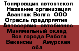 Тонировщик автостекол › Название организации ­ Авантаж-Волга, ООО › Отрасль предприятия ­ Автосервис, автобизнес › Минимальный оклад ­ 1 - Все города Работа » Вакансии   . Амурская обл.